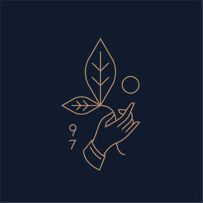 Rishi Tea & Botanicals