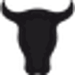 TORRO USA