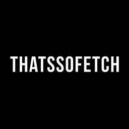 Thats So Fetch (US)