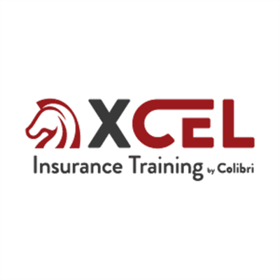 XCEL Solutions