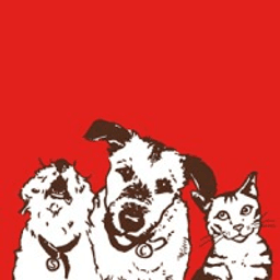 Stella & Chewy's
