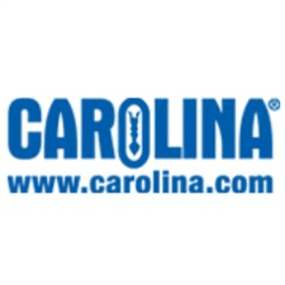 Carolina