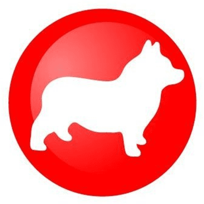 Corgi Models